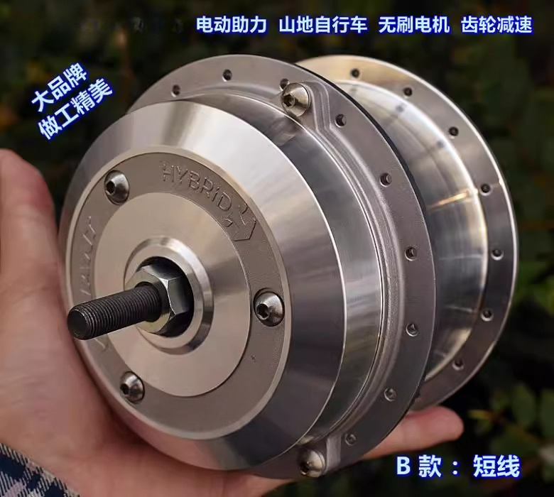 (Japan) Electric assisted moun - Mountain Biking In Japan recension och pris